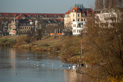 Foto: Dresden Pieschen, Hafen und Elbstrand