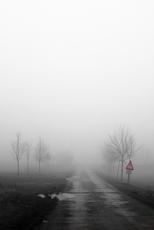 Foto: Weg im Nebel